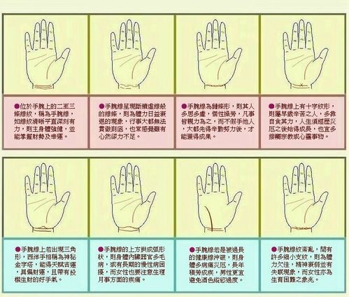 财运线到手腕_怎么看财运线到手腕图解