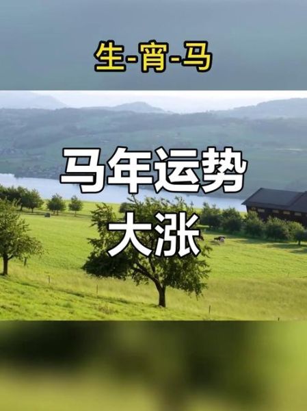 马人2019年运势怎么样_2019年属马财运如何