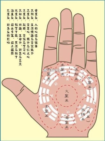 金星丘在哪_金星丘饱满代表财运好吗