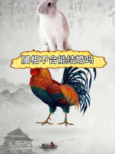 男属鸡女属兔能结婚吗_婚姻配对优缺点