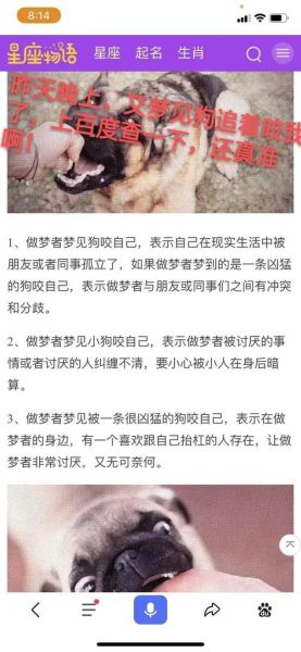 梦到打野狗是什么意思_被狗咬预示什么