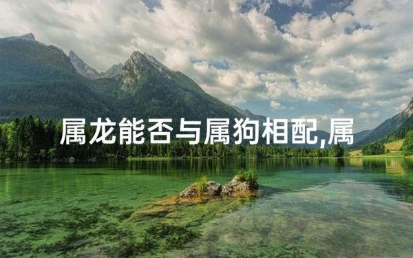龙狗相冲能要二胎吗_属龙属狗孩子相克怎么化解