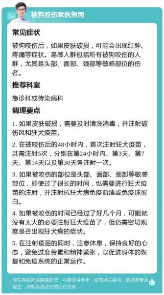 被狗咬会倒霉吗_被狗咬后运势真的会变差吗