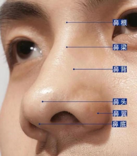鼻孔大小影响财运吗_面相学解析