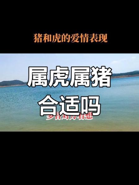 猪和虎属相配吗_猪虎相冲还是相合