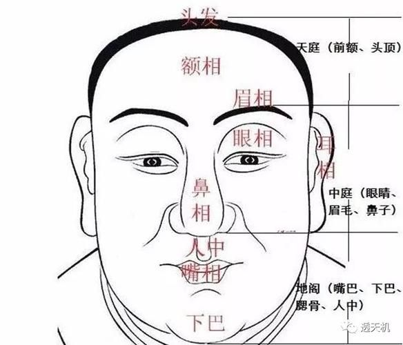 面部哪里影响财运_面相财运部位详解