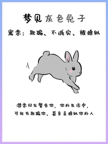 梦到黑兔子是什么意思_黑兔子梦境解析