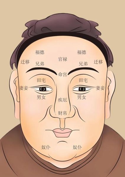 鼻梁高主财运是真的吗_高鼻梁面相财运解析