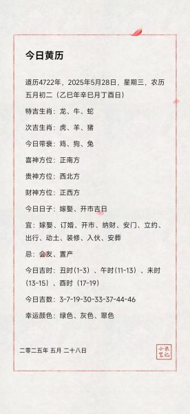 辰龙2024年运势详解_辰龙今年财运如何