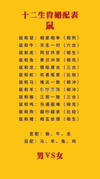 鼠和狗合不合_鼠狗婚配好吗