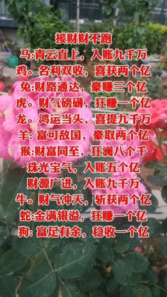 鸡年2月财运_如何提升
