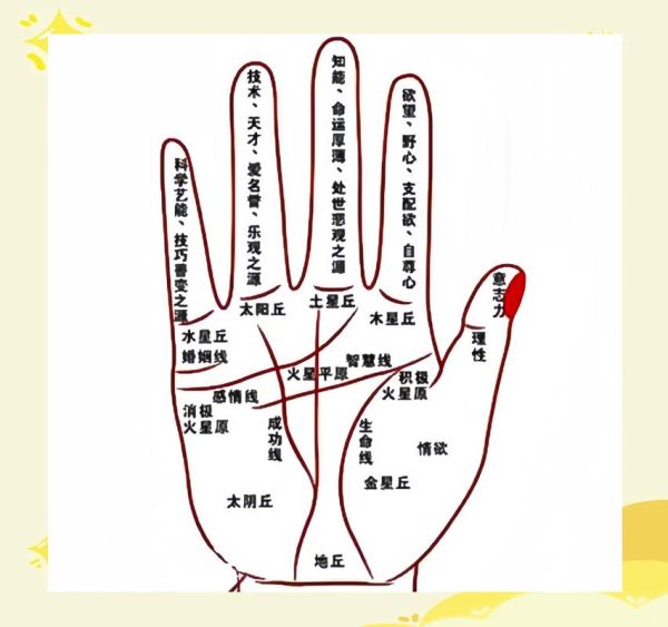 财运线怎么看_财运线多真的有钱吗