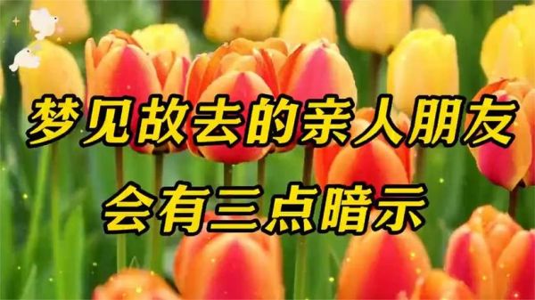 梦到故去的朋友_意味着什么
