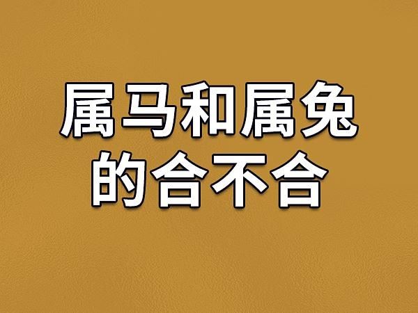 马和兔属相合不合财_马兔合伙做生意能赚钱吗