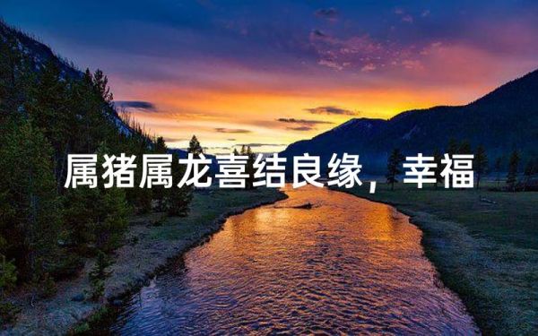 龙和猪属相相配吗_属龙属猪婚姻合不合