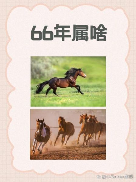1966年属什么生肖_1966年出生今年多大