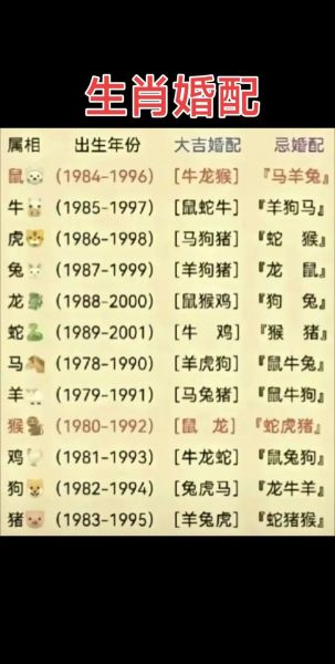 龙和什么属相最配_龙属相婚配禁忌