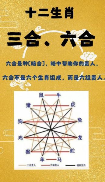 猪的六合属相是什么_猪的六合贵人是谁