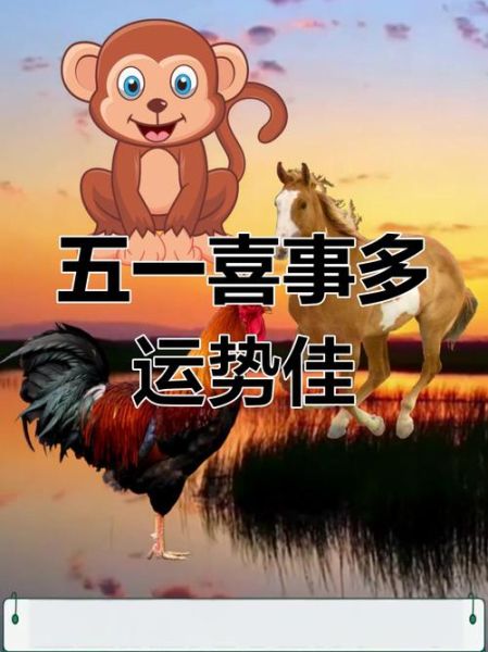 马和鸡属相合财运亨通_属马属鸡如何招财