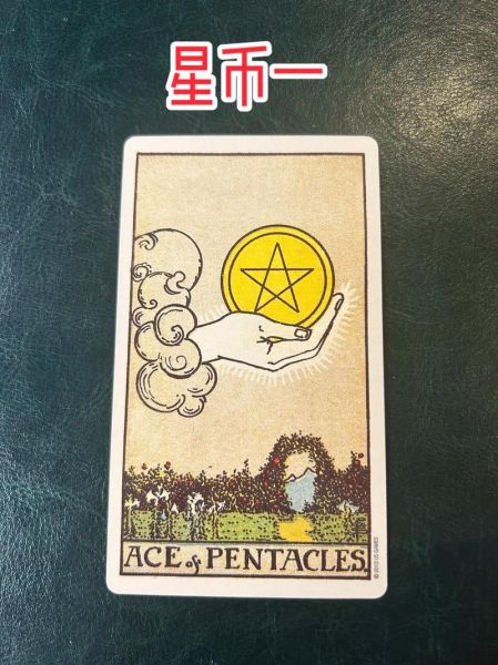 星币八正位财运_星币八逆位财运