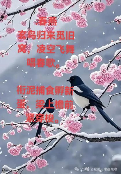 梦到鸟入怀是什么意思_梦到鸟入怀预示什么