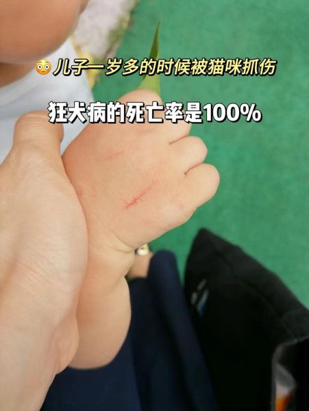 被猫抓财运会变好吗_被猫抓伤风水寓意