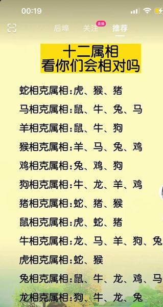 生肖龙和什么属相相冲_龙与狗相冲如何化解