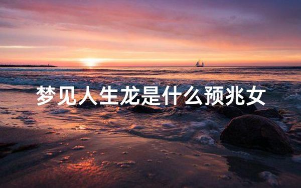 梦到龙追人_梦见龙追自己是什么预兆