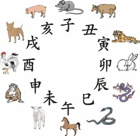 避属相失败怎么办_如何补救