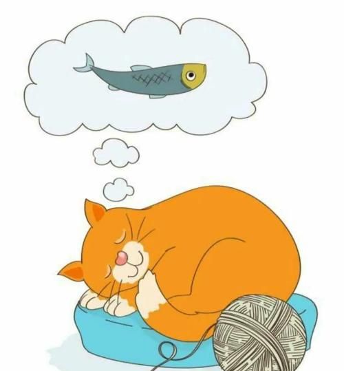 梦到猫是什么意思_梦见猫代表什么