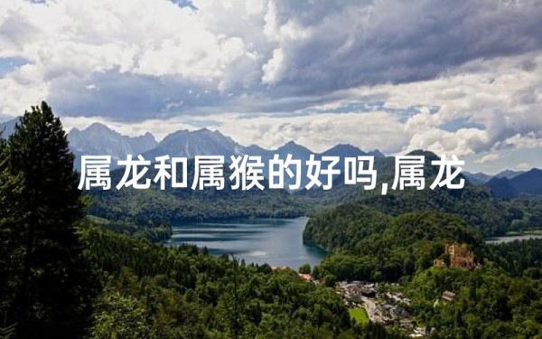 属龙的人猴年运势如何_属龙猴年财运怎么样