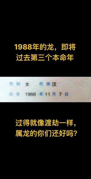 1988年属什么生肖_1988年属龙人的命运解析