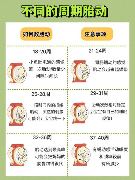 没怀孕梦到胎动很厉害_是什么意思