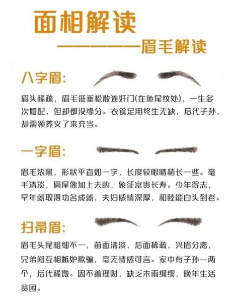眉毛看财运_眉毛形状与财富关系