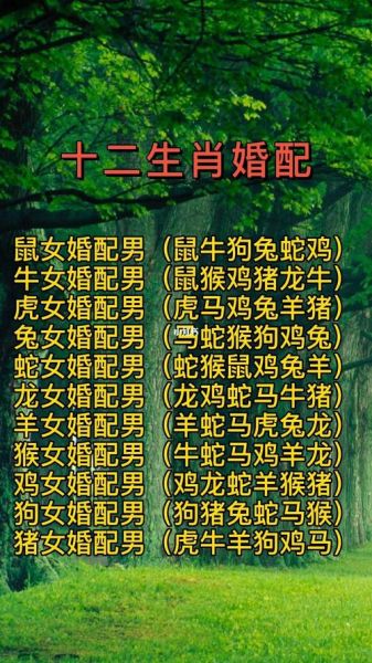 1971年属猪婚配_1971年属猪和什么属相最配