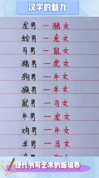 龙和猪属相合不合_婚姻配对好吗