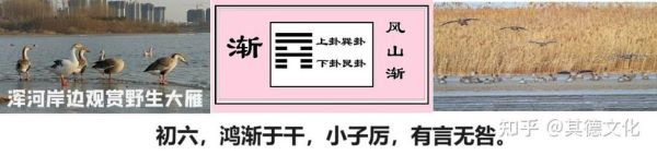 渐卦测财运_渐卦财运吉凶怎么看