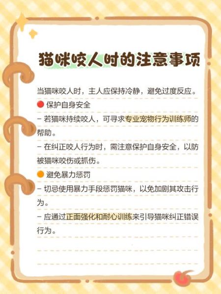 梦到被猫咬是什么意思_梦见被猫咬了怎么办