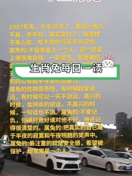 1987属兔本月运势如何_1987属兔本月财运怎么样