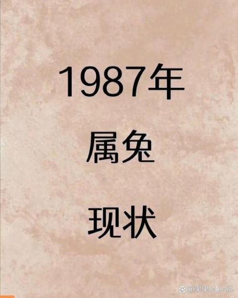 1987属兔2024运势如何_1987年属兔人今年财运好吗