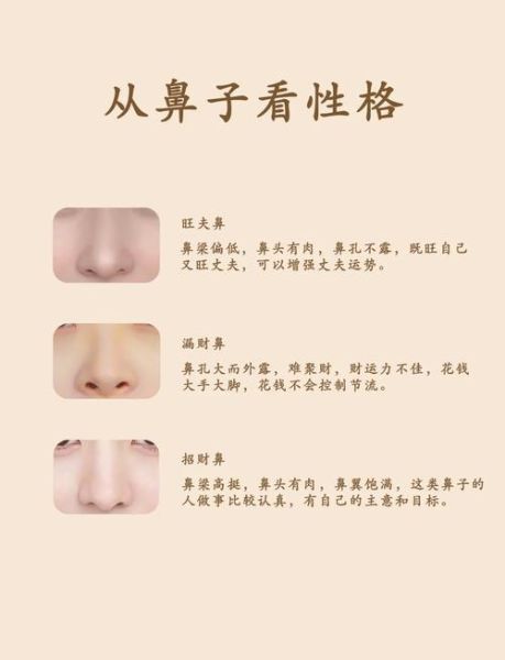 鼻子看财运准吗_鼻子塌的人怎么招财