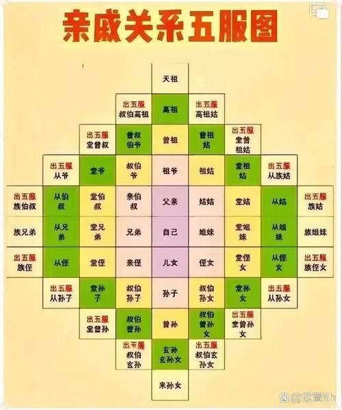 六亲属相姓氏有哪些_六亲属相姓氏怎么查