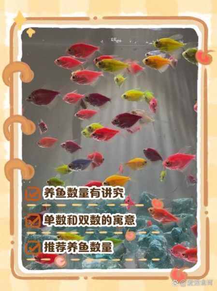 梦到鱼缸里的鱼是什么意思_鱼缸养鱼风水禁忌