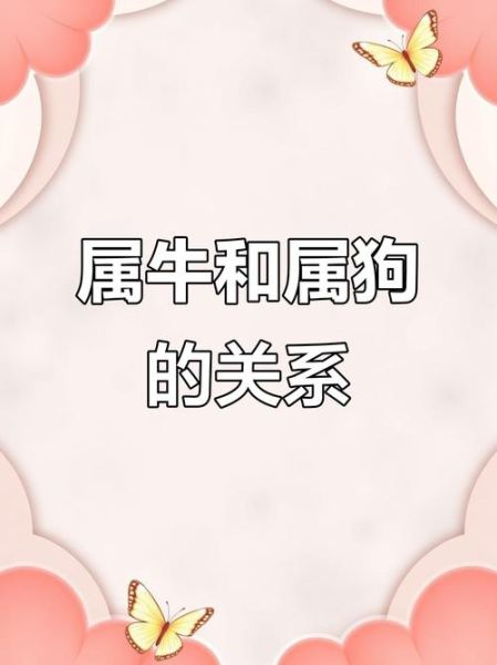 牛和狗合不合财运_属牛属狗做生意能发财吗