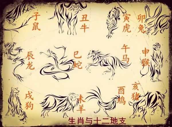 属羊和属鸡的婚姻合不合_属羊和属鸡的事业合作好吗