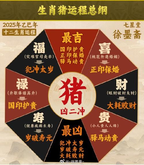 男猪女龙相配财运好吗_男猪女龙婚后财富走向