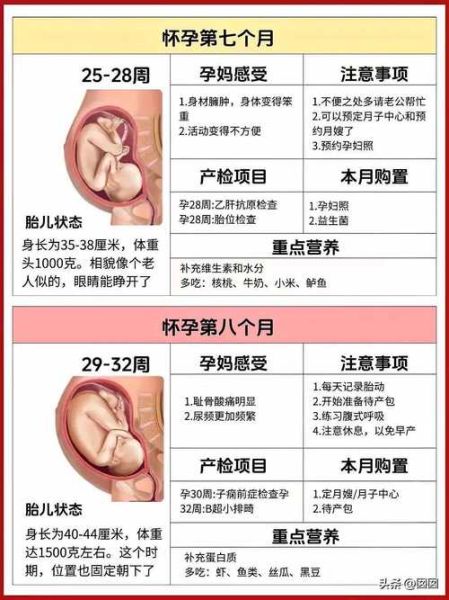 孕妇财运会变好吗_孕期如何提升财运