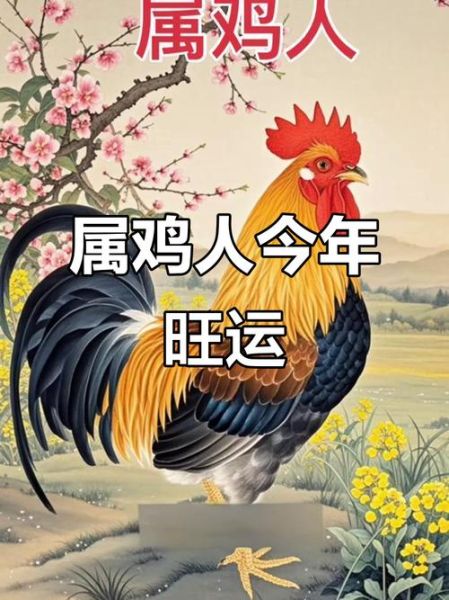 2017属鸡感情运势如何_属鸡人2017年爱情走向