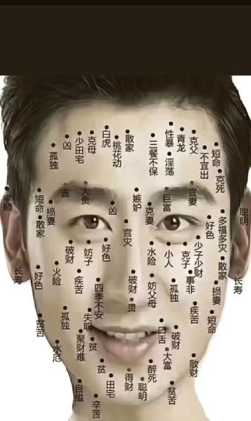 脸上痣相图解财运_脸上痣与财富关系