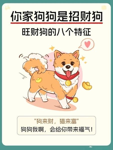 金狗命财运不好怎么办_金狗命如何转运